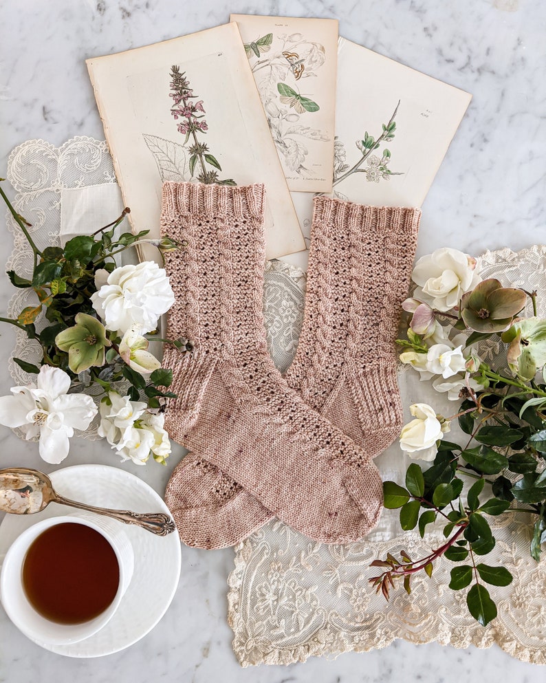 The Amicus Socks - A pair of pink socks with vertical cables and eyelets is laid flat on top of a cream lace background and some antique botanical prints. They are surrounded by white roses and white snapdragons, along with a cup of tea.