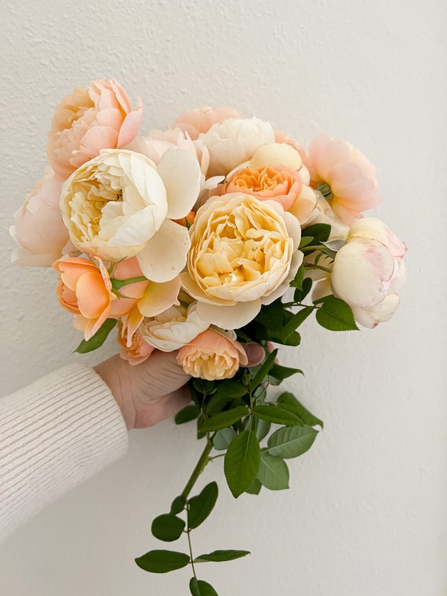 A bouquet of peach, yellow, and cream roses held against a white wall.