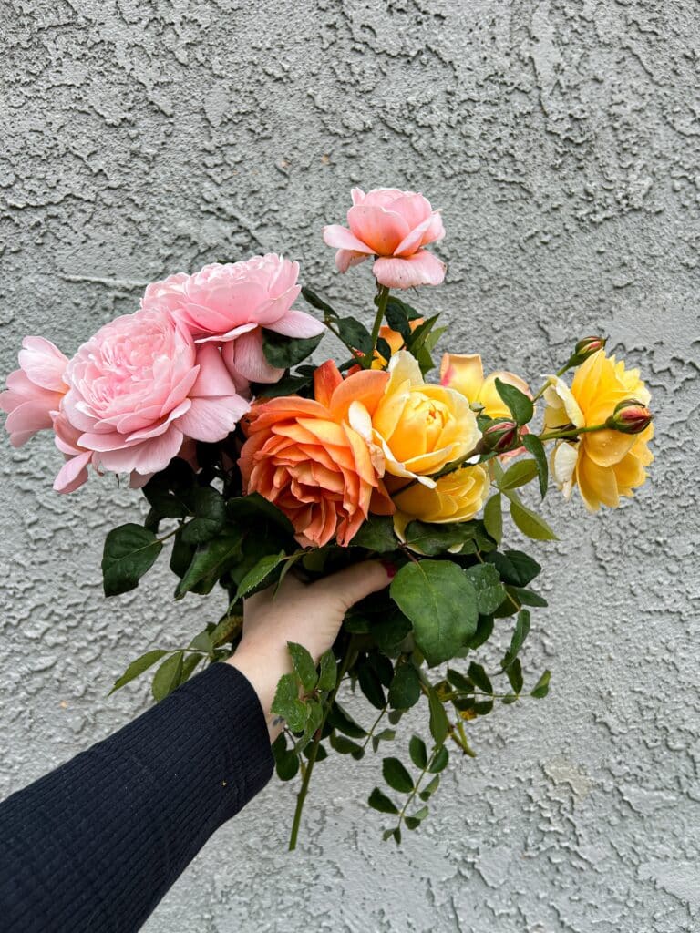A white woman's left arm reaches out in front of a gray stucco wall. Her hand is full of roses in varying shades of pink, coral, and yellow.