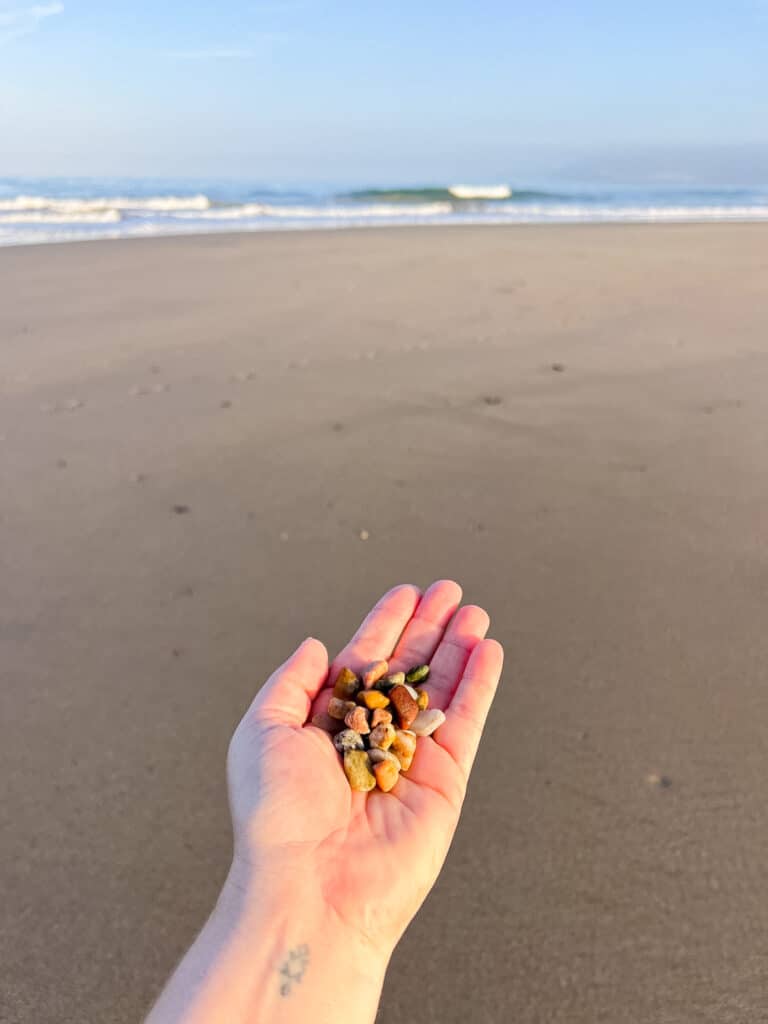 A white woman's left hand holds a bunch of beach pebbles in front of a wide expanse of sand at low tide. Waves crash in the distance.